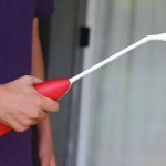 הדברת פשפשים