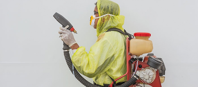 הדברה כימית יתרונות וחסרונות