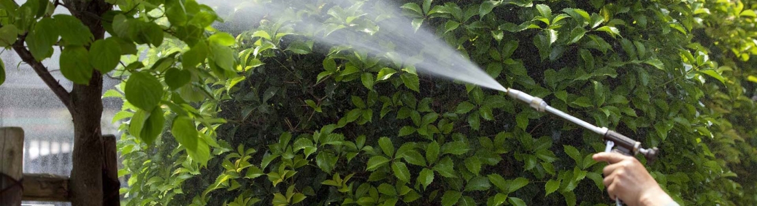 הדברה בסביון