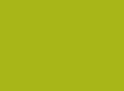 לכידת חולדה מקצועית