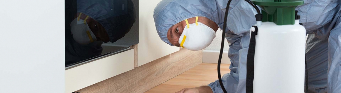 הדברה ברמת השרון